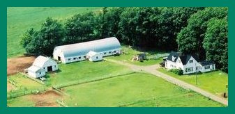 Black River farm - Winsloe RR9 Prince Edward Island